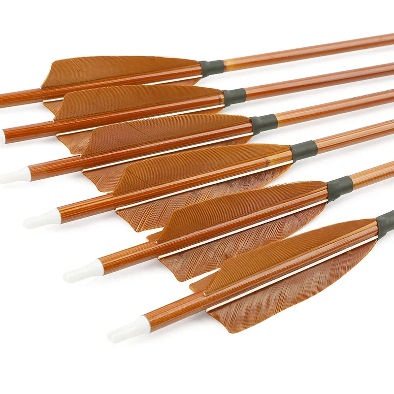 6/12 Stück gemischte Carbonpfe – Archery Target Face Bewertung und Preis