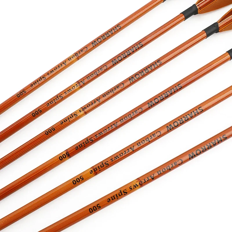 6/12 Stück gemischte Carbonpfe – Archery Target Face Bewertung und Preis